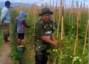 Paslon DEWA Usung Misi Tingkatkan Sektor Pertanian di Kabupaten Gorontalo