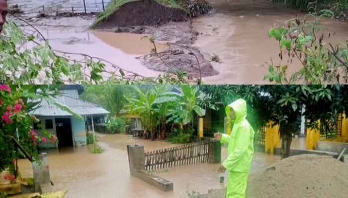 Tanggul Jebol, Puluhan Hektar Sawah dan Rumah Warga Terendam Banjir