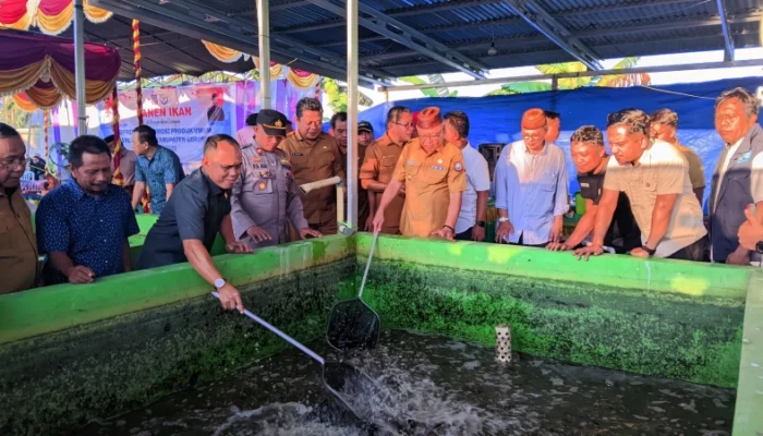 Panen Lele di Telaga Biru, Bupati Sofyan Dorong UMKM Produksi Olahan Ikan