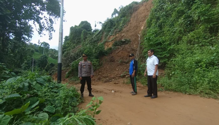 Pastikan Akses Jalan Aman, Camat Telaga Biru Tinjau Lokasi Longsor