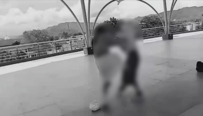 Viral, Video Pelajar SD di Kabupaten Gorontalo Baku Pukul