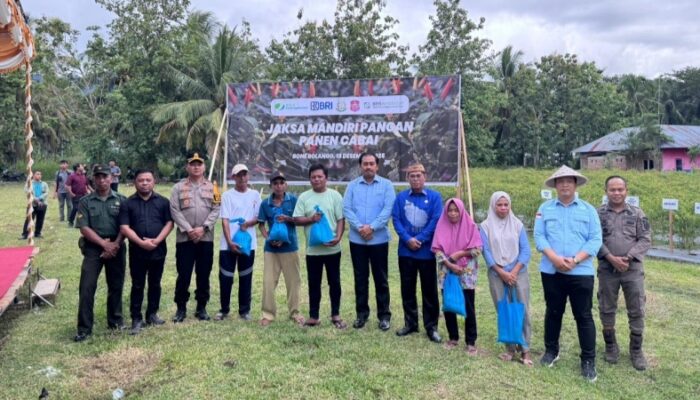 Perkuat Ketahanan Pangan, Kejari Bone Bolango Panen Cabai Lewat Program Jaksa Mandiri Pangan