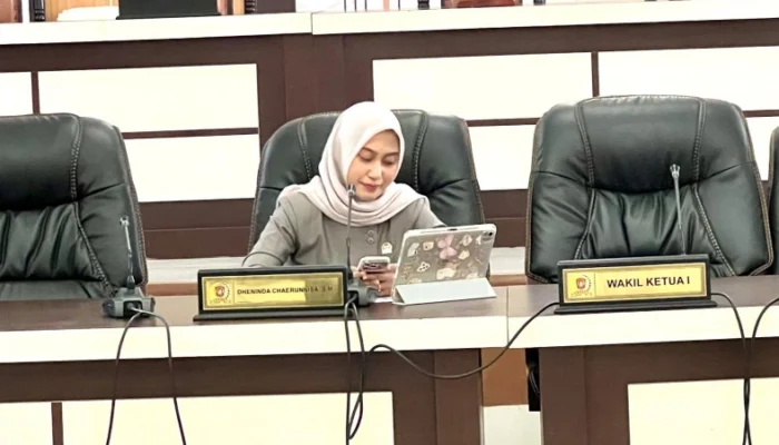 Ketua Komisi III DPRD Gorut, Dheninda Kritik Direktur RS ZUS Usai Bantuan Pusat Gagal Terealisasi