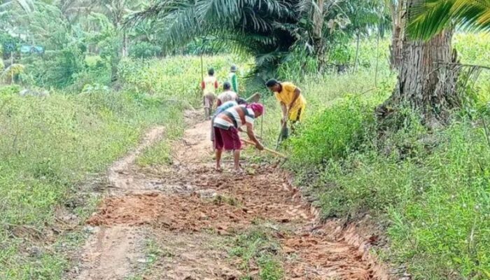 Jadi Prioritas Pemkab, Jalan Ulobua Belum Diperbaiki akibat Terkendala Aturan