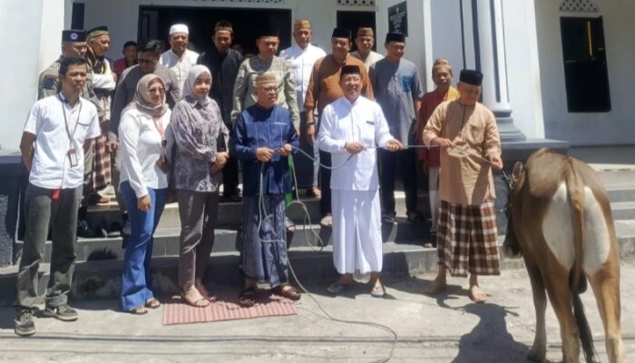 3.054 Hewan Kurban Bakal Disembelih pada Iduladha 1447 H di Kabgor