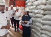 Rahmijati Jahja Cek Gudang Bulog, Pastikan Pasokan Beras di Gorontalo Tercukupi