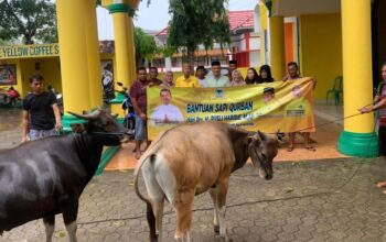 Momentum Iduladha, Golkar Kabgor Sembelih Dua Hewan Kurban