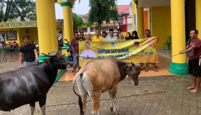 Momentum Iduladha, Golkar Kabgor Sembelih Dua Hewan Kurban
