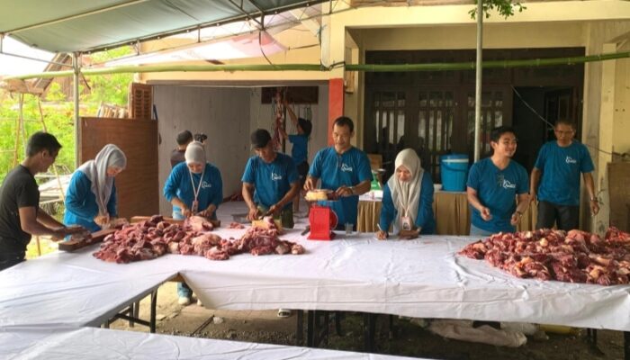 Grand Q Hotel Gorontalo Tebar Kepedulian Lewat Penyembelihan Tujuh Hewan Kurban