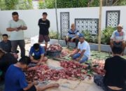 Keluarga Besar Andi Ilham Tebar Berkah Iduladha dengan 3 Sapi Kurban