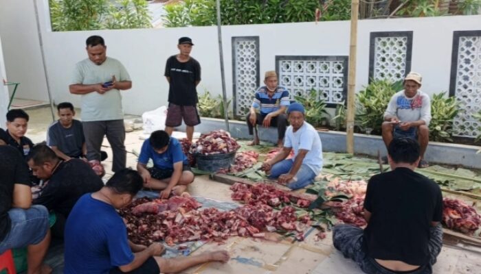 Keluarga Besar Andi Ilham Tebar Berkah Iduladha dengan 3 Sapi Kurban