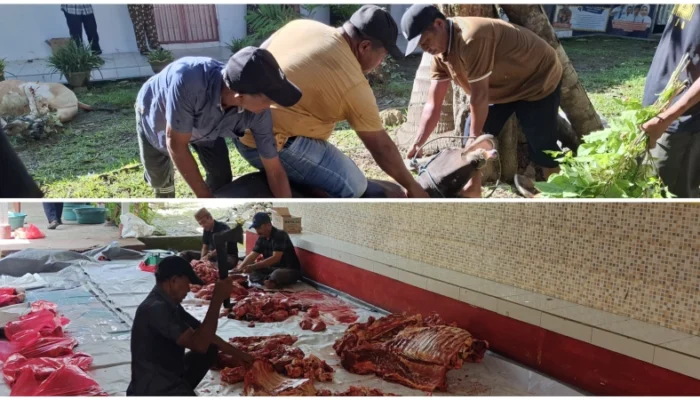 Tebar Kepedulian di Hari Raya, SMAN 1 Limboto Sembelih 5 Hewan Kurban