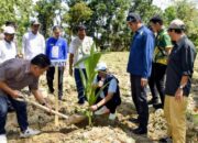 Kabupaten Gorontalo Perkuat Sentra Kelapa, Ribuan Bibit Dibagikan ke Petani Mootilango