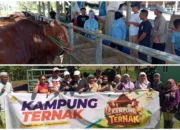 Rahmijati Jahja Temui Peternak di Limboto dan Tabongo, Komitmen Perjuangkan Kesejahteraan Peternak