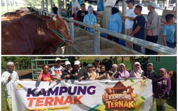 Rahmijati Jahja Temui Peternak di Limboto dan Tabongo, Komitmen Perjuangkan Kesejahteraan Peternak