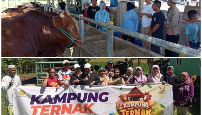 Rahmijati Jahja Temui Peternak di Limboto dan Tabongo, Komitmen Perjuangkan Kesejahteraan Peternak
