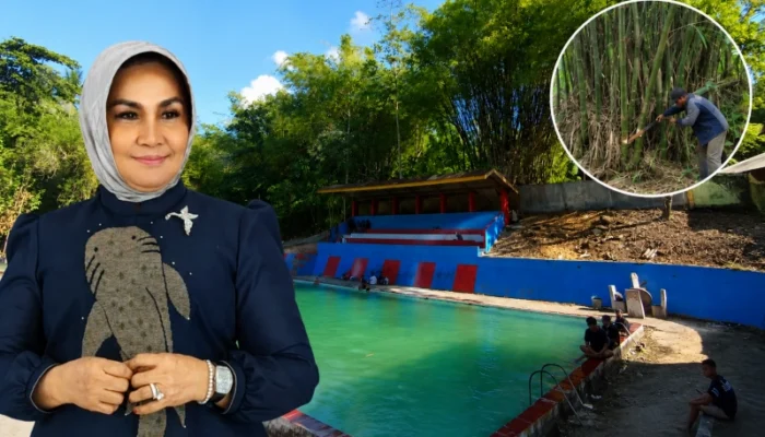Demi Keselamatan Wisatawan, Rahmijati Jahja Bayar Penebangan Bambu di Taluhu Barakati
