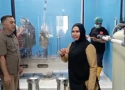 Tinjau Pabrik Pro ST, Rahmijati Dorong Taluhu Barakati sebagai Identitas Produk