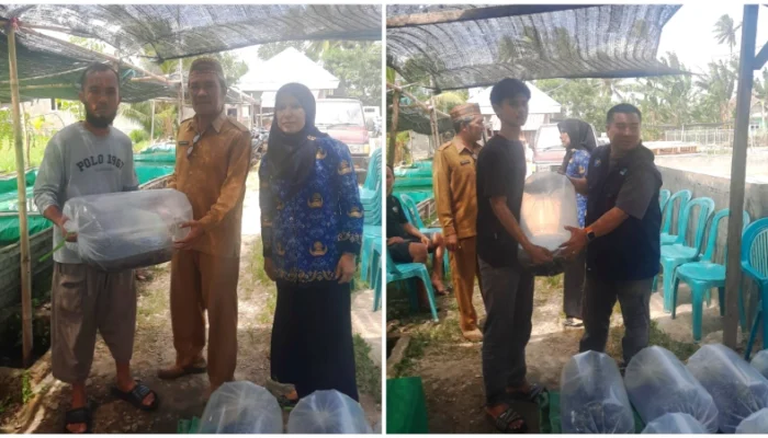Bantuan 10 Ribu Bibit Lele Disalurkan ke Tuladenggi, Kades: Terima Kasih Bupati dan Wakil Bupati