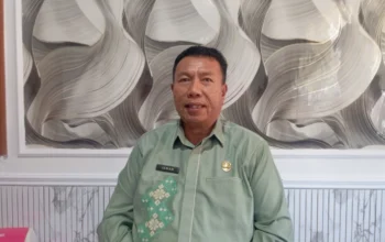 Kabar Baik bagi Wajib Pajak, Pemutihan Pajak Kendaraan Direncanakan Mulai 10 Agustus