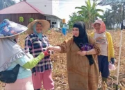 Di Tengah Terik Matahari, Buruh Tani Jagung Dapat Rezeki Tak Terduga dari Rahmijati Jahja