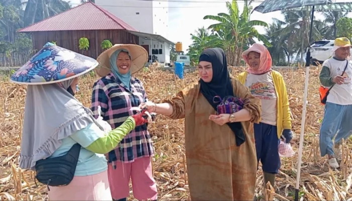 Di Tengah Terik Matahari, Buruh Tani Jagung Dapat Rezeki Tak Terduga dari Rahmijati Jahja