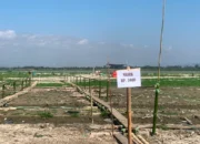 Camat Telaga Biru Enggan Komentar soal Pungutan Rp5.000 di Spot Danau Limboto