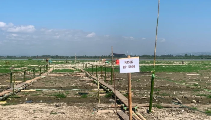 Camat Telaga Biru Enggan Komentar soal Pungutan Rp5.000 di Spot Danau Limboto