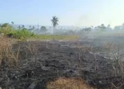 Kasus Kebakaran di Kabupaten Gorontalo Capai 75 Kejadian, Agustus Tembus 29 Kasus
