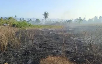 Kasus Kebakaran di Kabupaten Gorontalo Capai 75 Kejadian, Agustus Tembus 29 Kasus