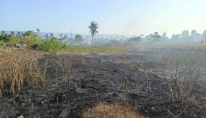 Kasus Kebakaran di Kabupaten Gorontalo Capai 75 Kejadian, Agustus Tembus 29 Kasus