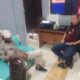 Bikin Gaduh hingga Aniaya Dokter, JT Langsung Ditangkap Polisi